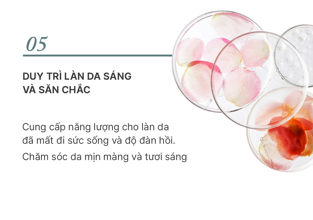 Tinh chất hỗ trợ tái tạo nâng tone da Elravie Pro Toning Peel Treatment 40ml_thumbnail_7