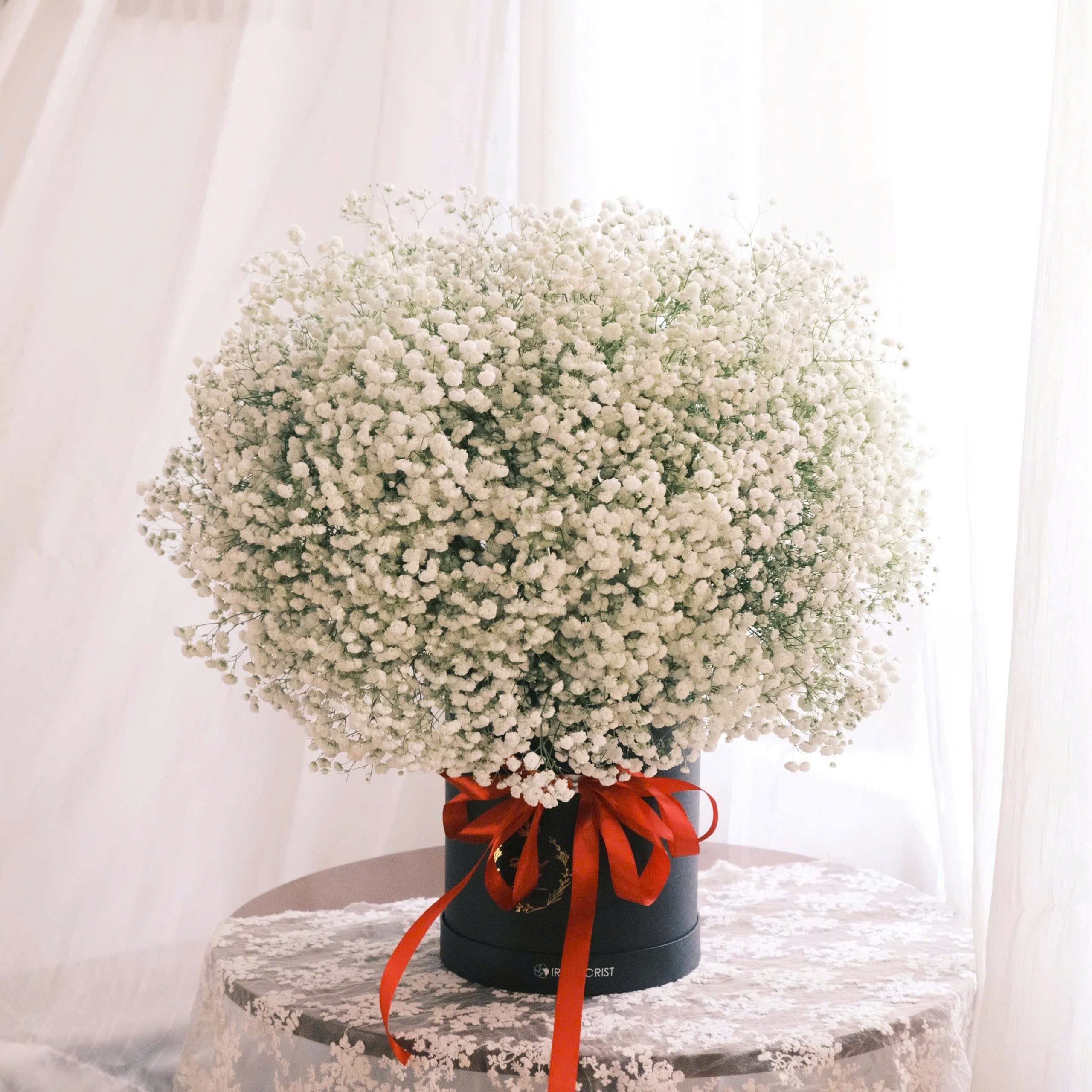 Hộp hoa Baby trắng size L