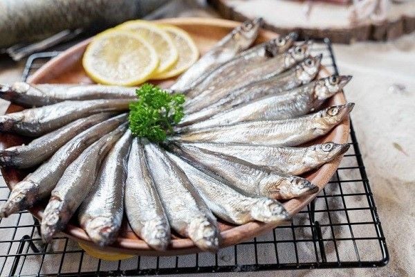 Cá trứng Nauy Thơm ngon, Béo ngậy [Giao hàng hỏa tốc Huế]