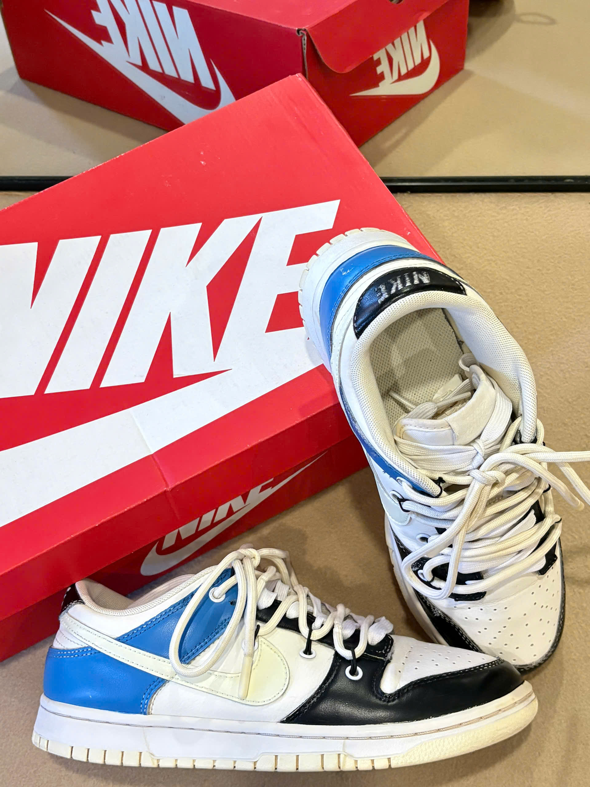 Nike Dunk Low Retro (W)