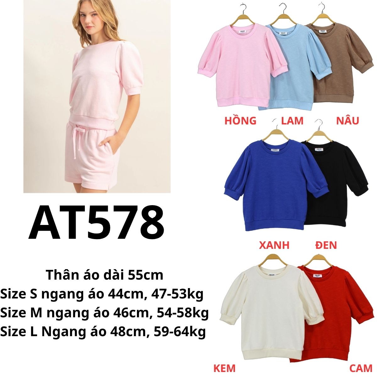 AT578- Áo thun D2