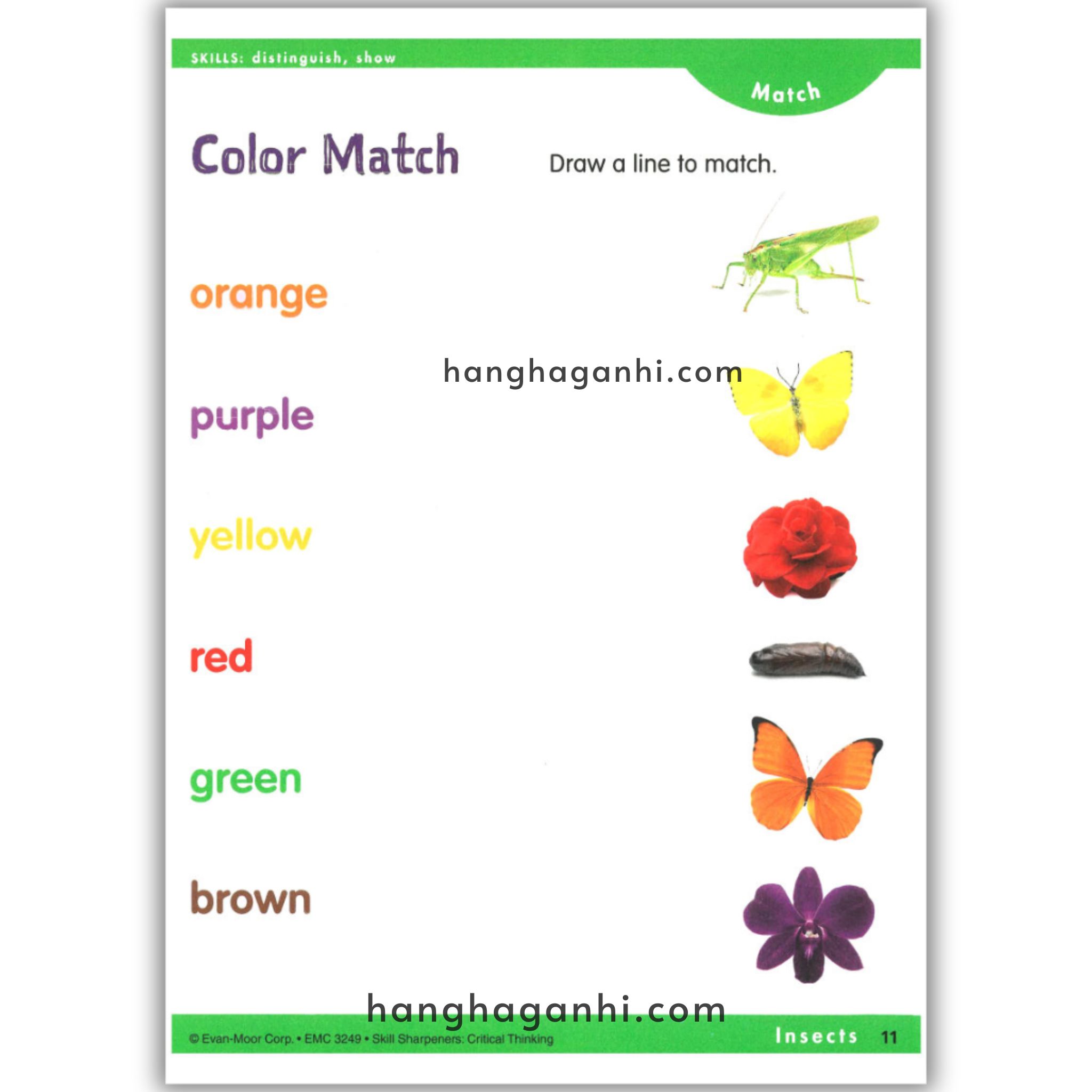 Skill Sharpeners Critical Thinking Pre-K_thumbnail_8