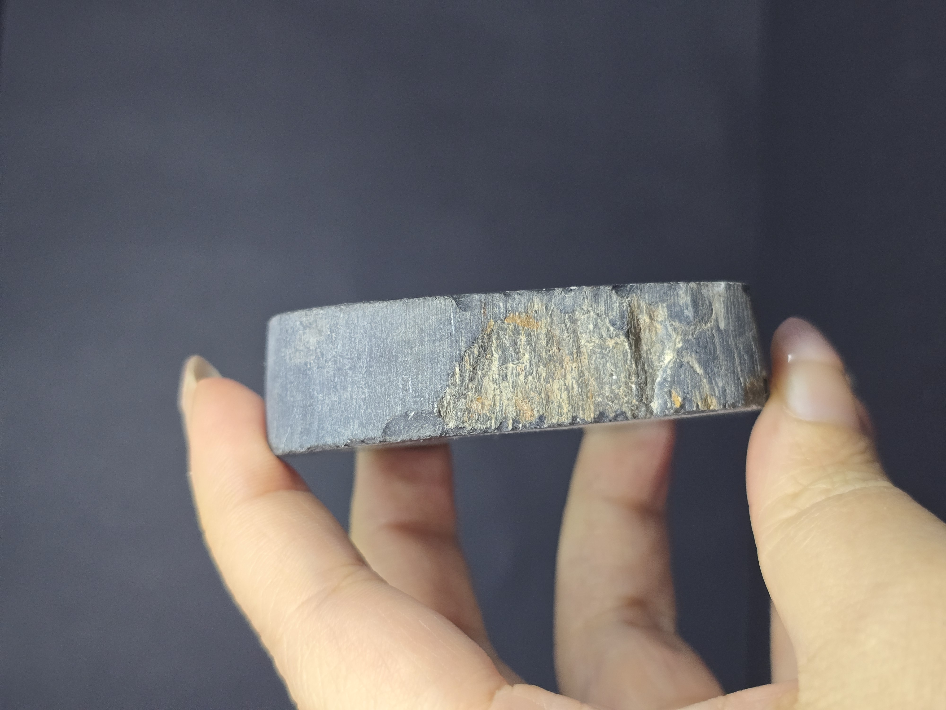 Gỗ Hóa Thạch Đã Được Mài Bóng 2 Mặt_thumbnail_2