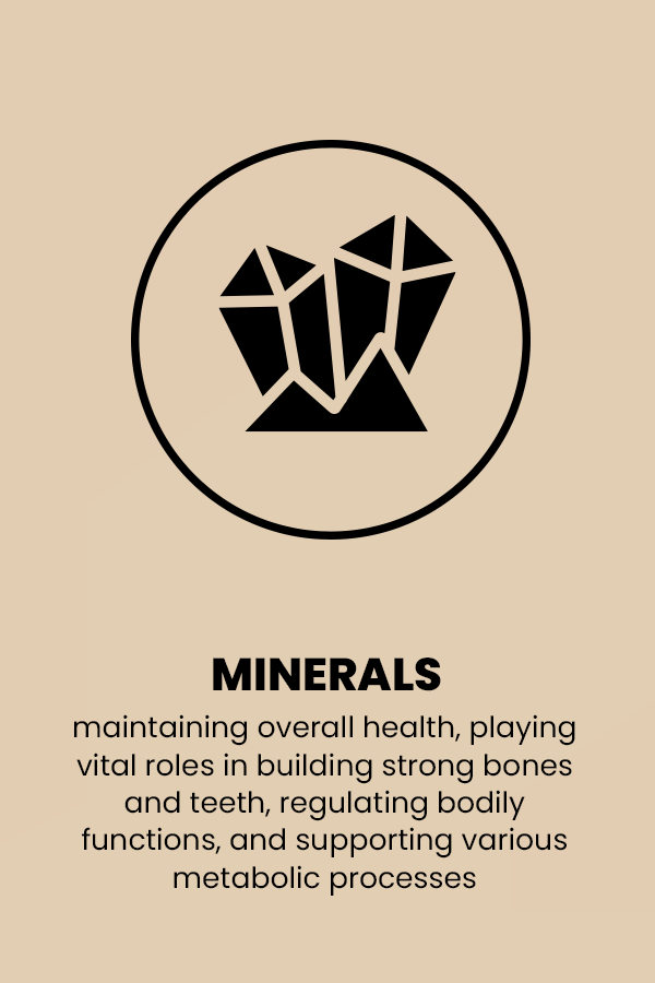 MINERALS ICON
