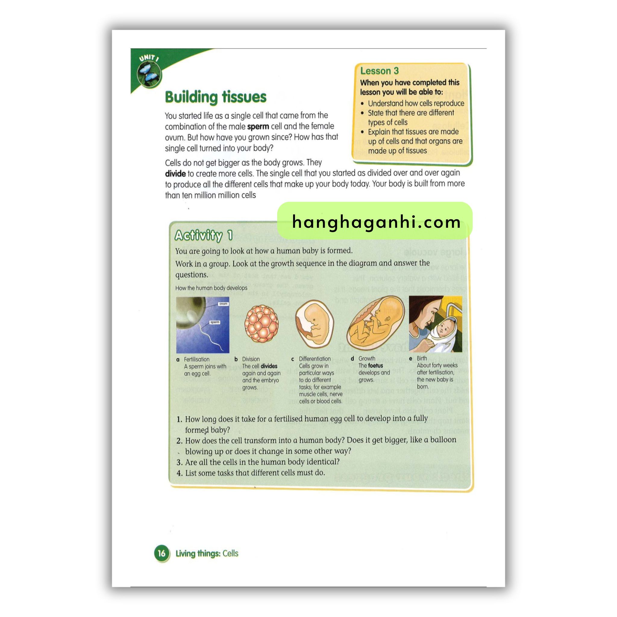 Macmillan Science 6 Pupil’s book_thumbnail_10
