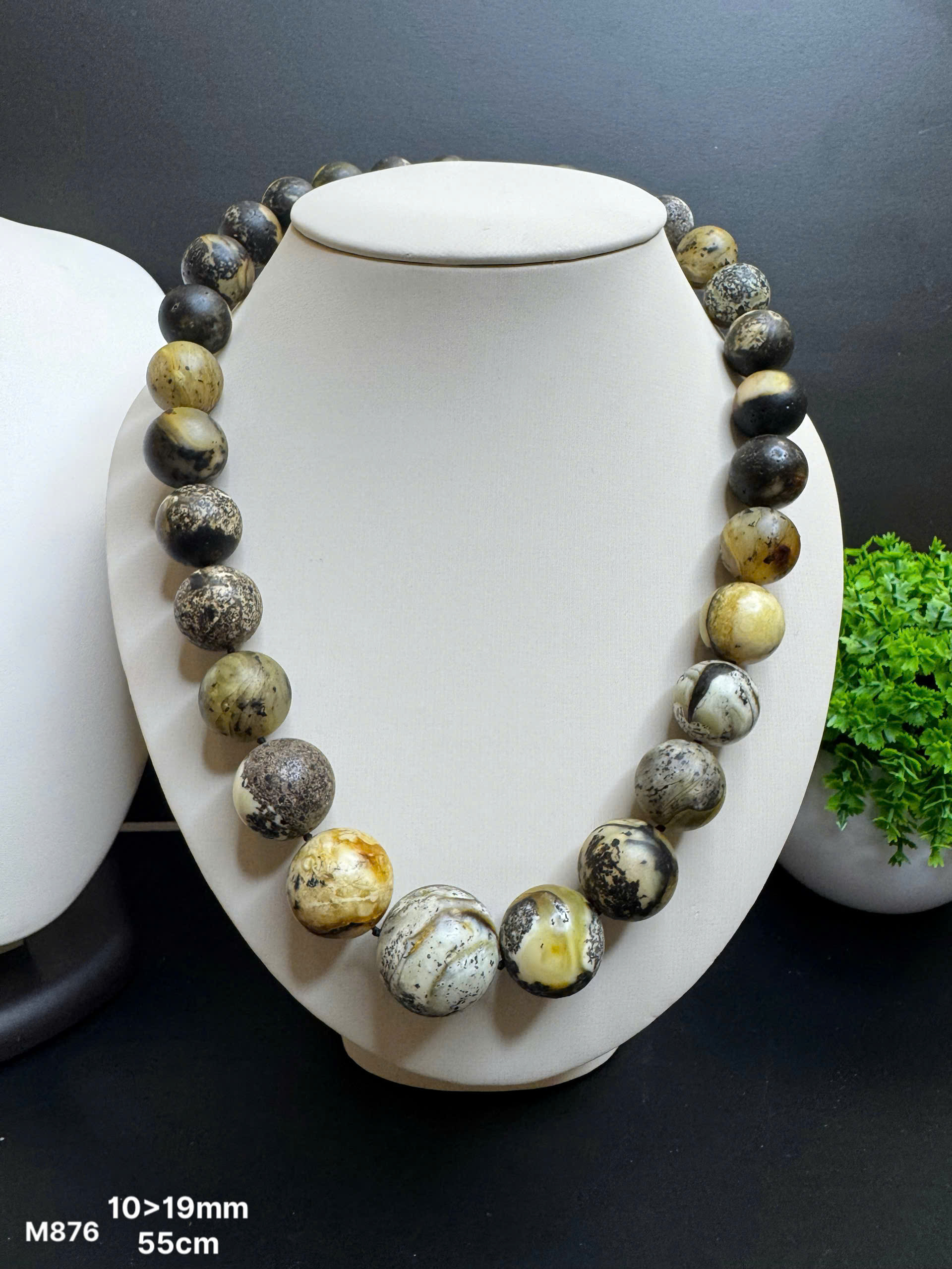 Rêu Mộc Bạch - M876