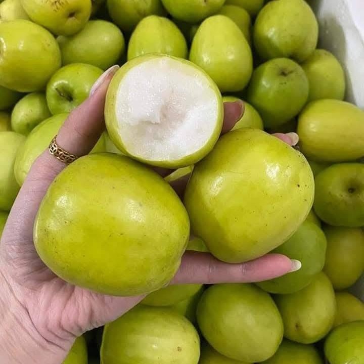 Táo Xuân Bắc Giang_thumbnail_0