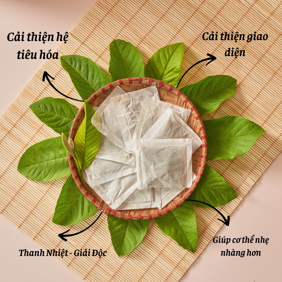 2 Hộp Trà Búp Ổi ( 120 gói)_thumbnail_4