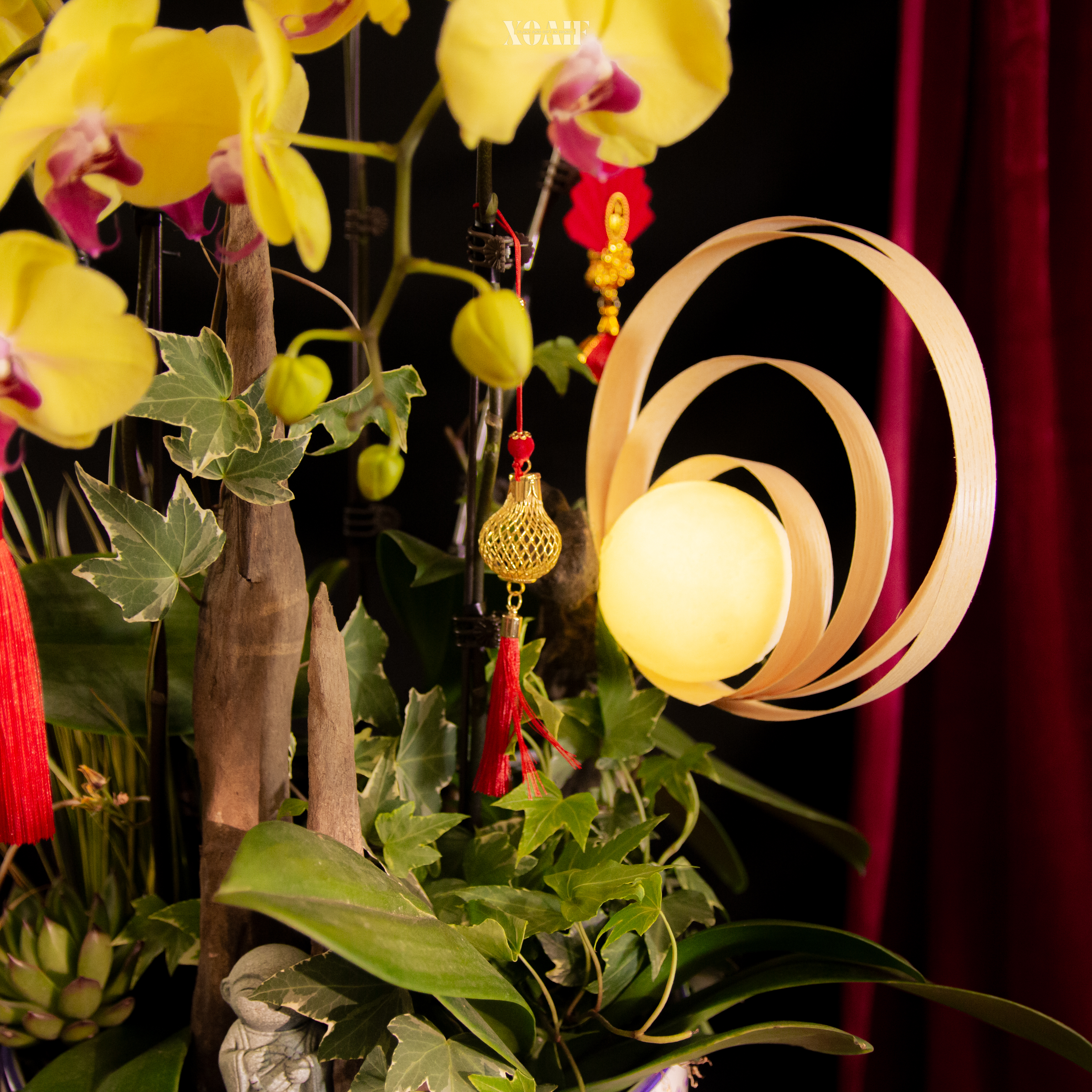 LAN HỒ ĐIỆP - NGUYỆT DẠ LAN HƯƠNG_thumbnail_3