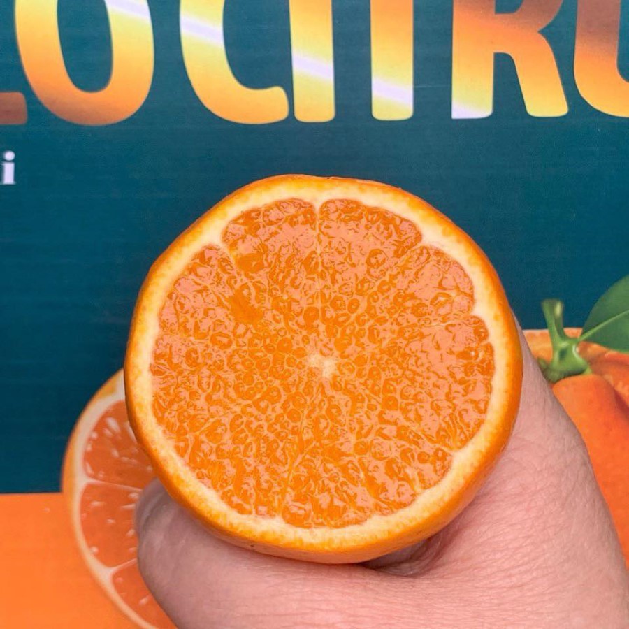 Quýt Baby Thùng (Citrus)_thumbnail_1