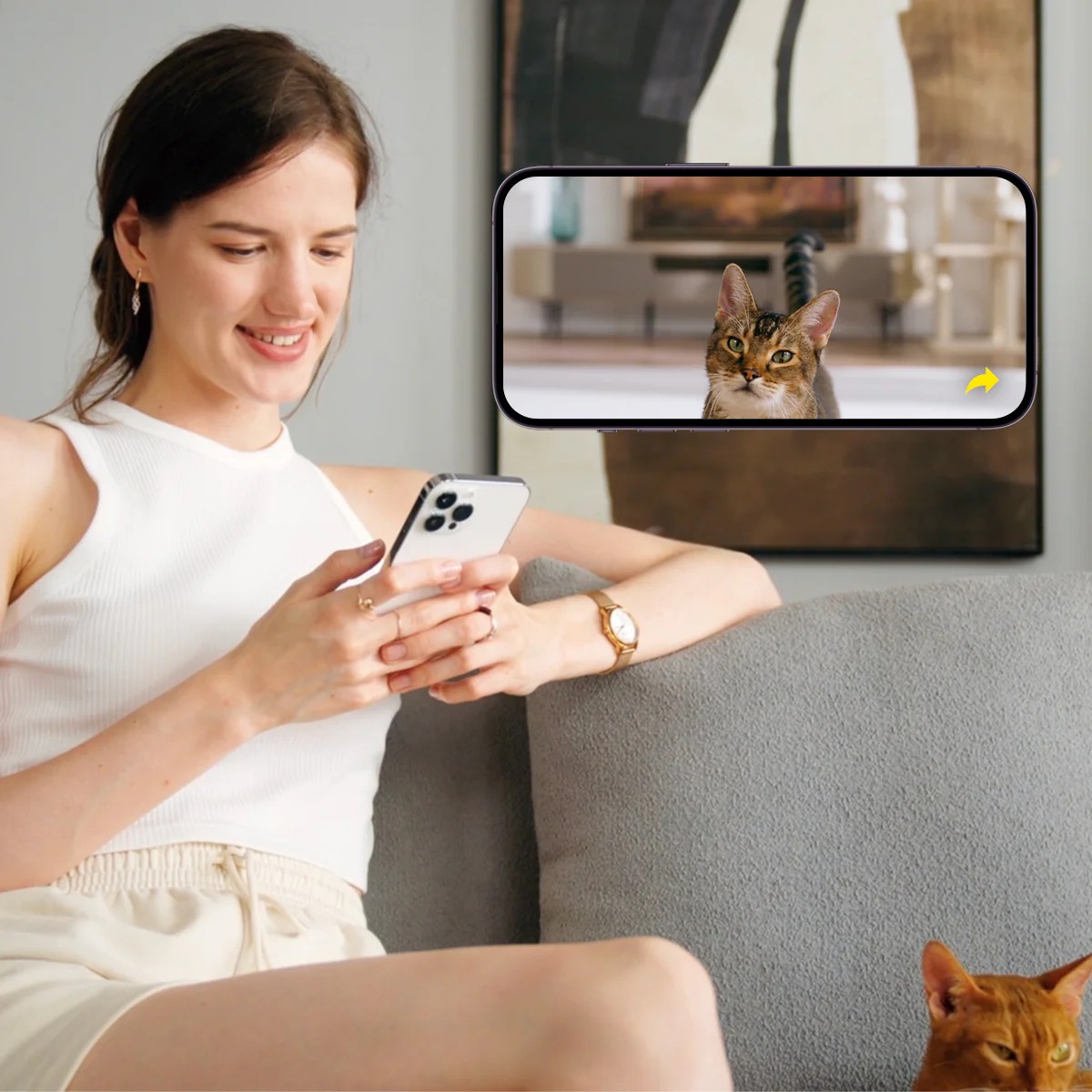 Petkit Solo YumShare Automatic Pet Feeder with Camera_thumbnail_3