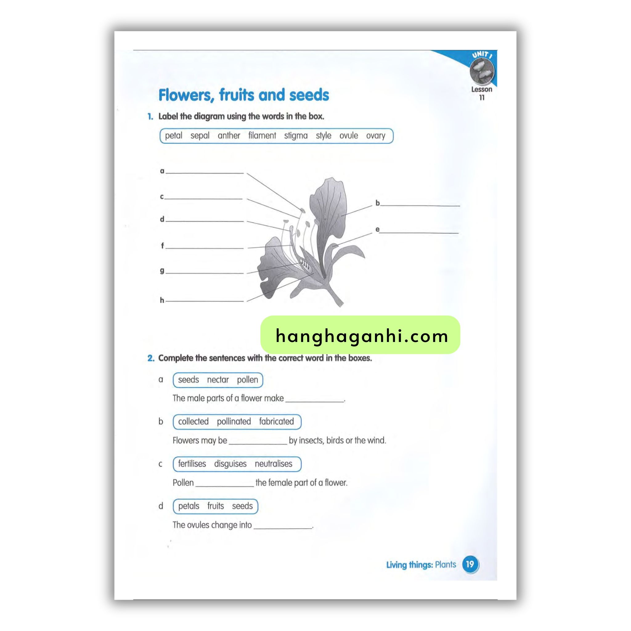 Macmillan Science 4 Workbook_thumbnail_3