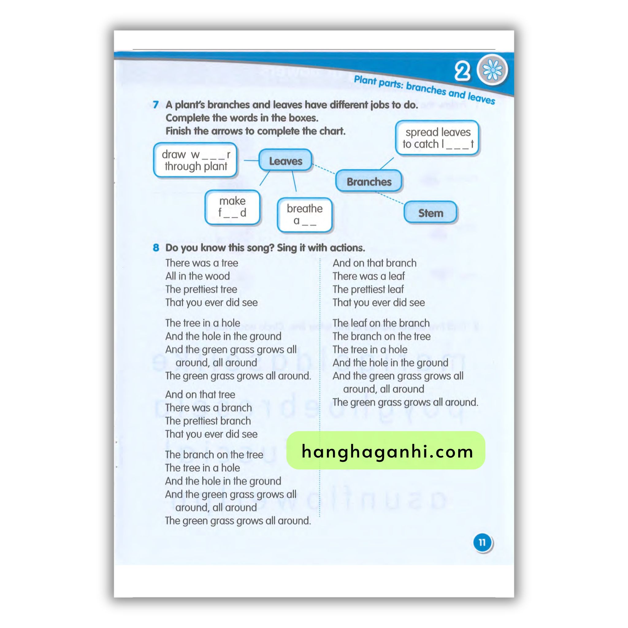 Macmillan Science 3 Workbook_thumbnail_17