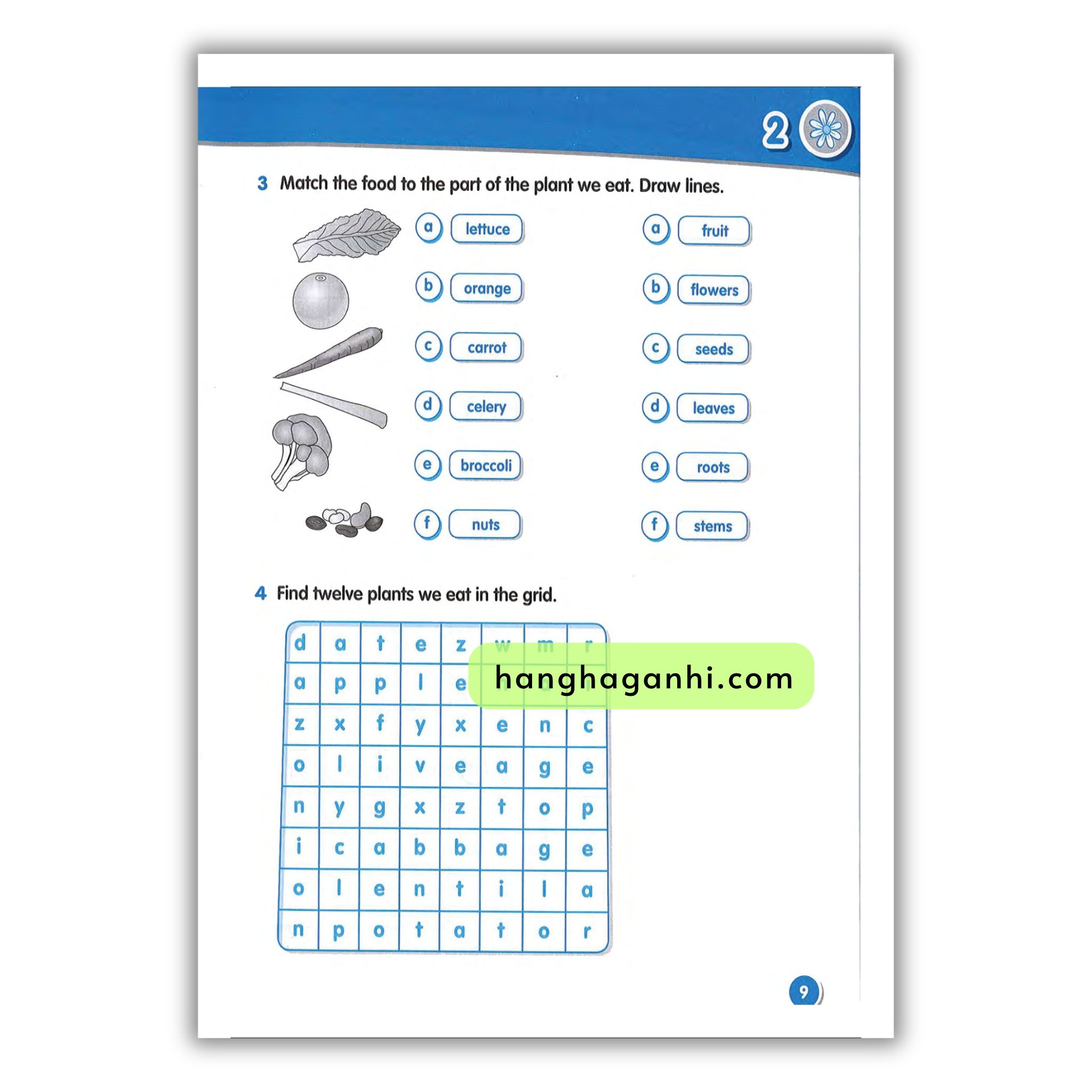 Macmillan Science 2 Workbook_thumbnail_8