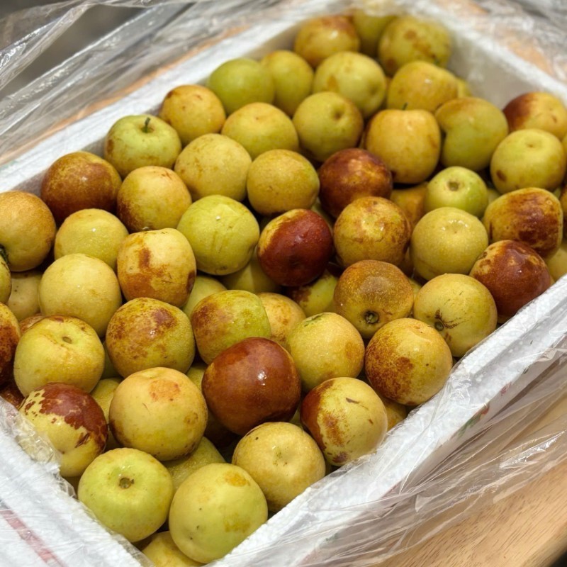 Đại Hồng Táo_thumbnail_3