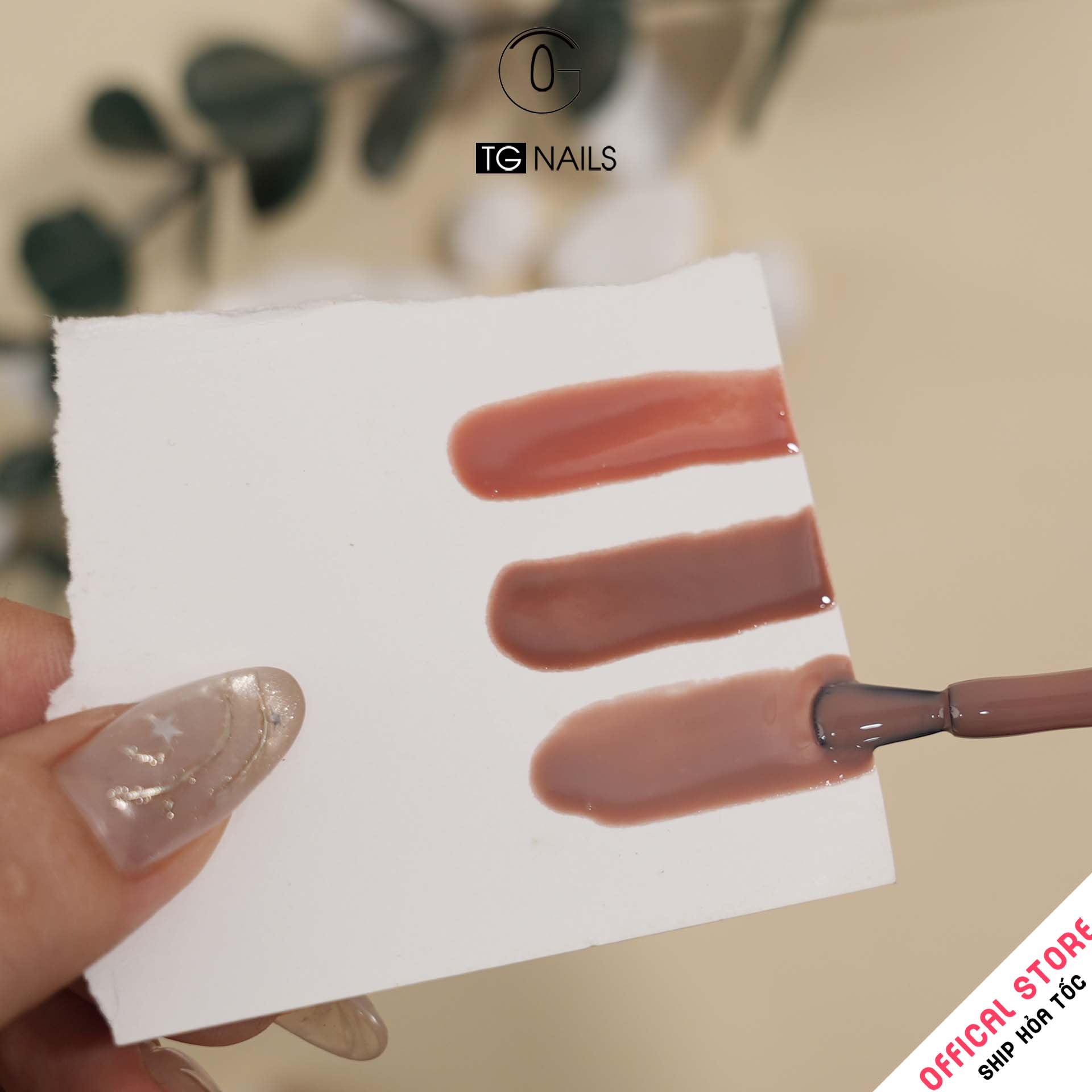 Set sơn gel 12 màu TN-TG12  Thạch Nâu TG_thumbnail_3