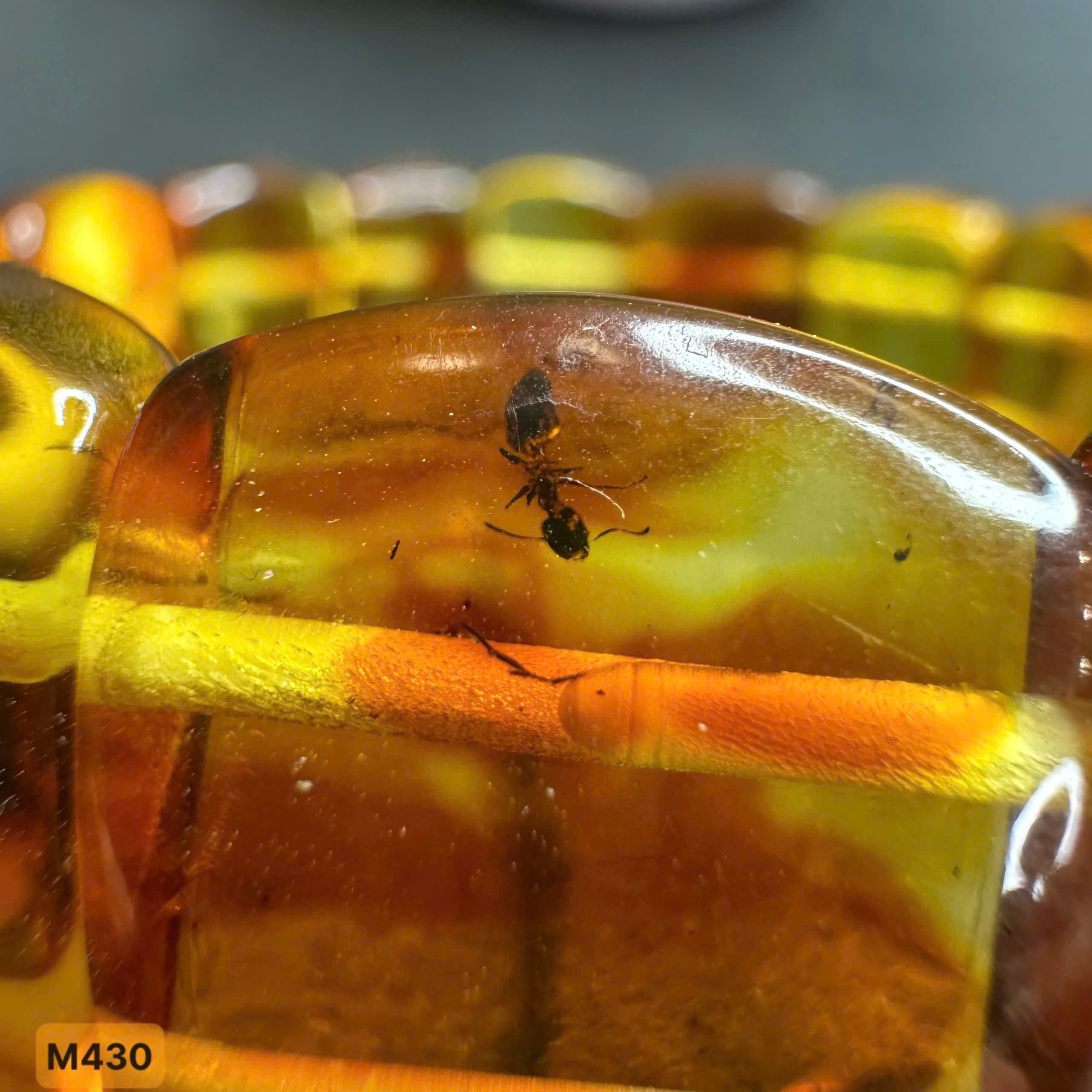 Lắc Bản Côn Trùng Ánh Huyết - M430_thumbnail_2