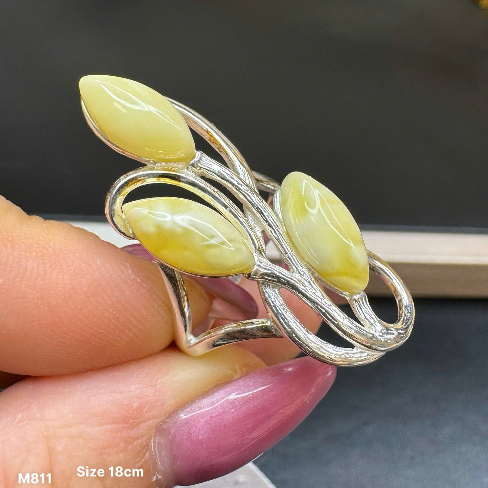 Nhẫn Hoàng Gia Size 18cm - M811