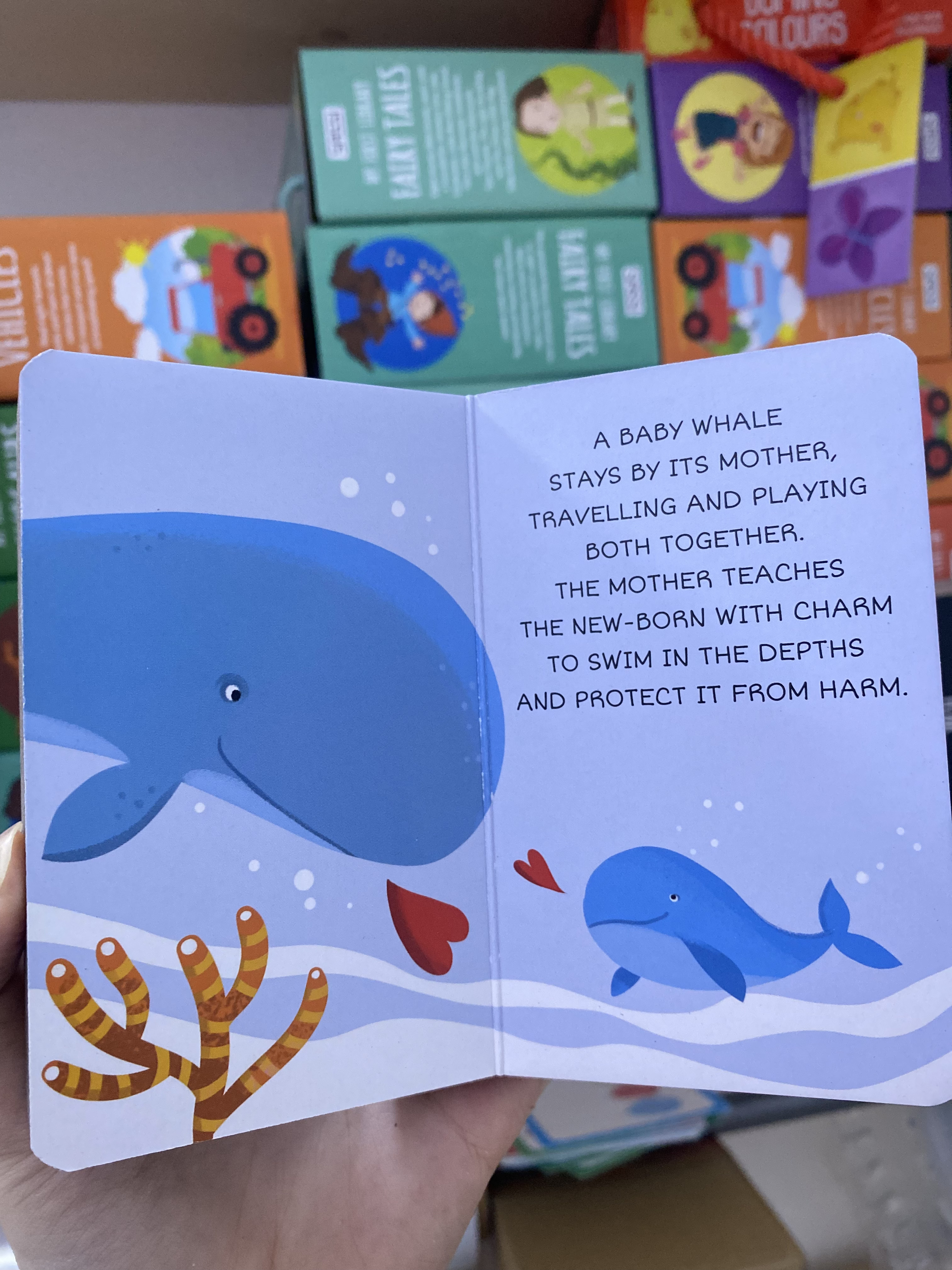 WHALE (The Sea Library)_thumbnail_3