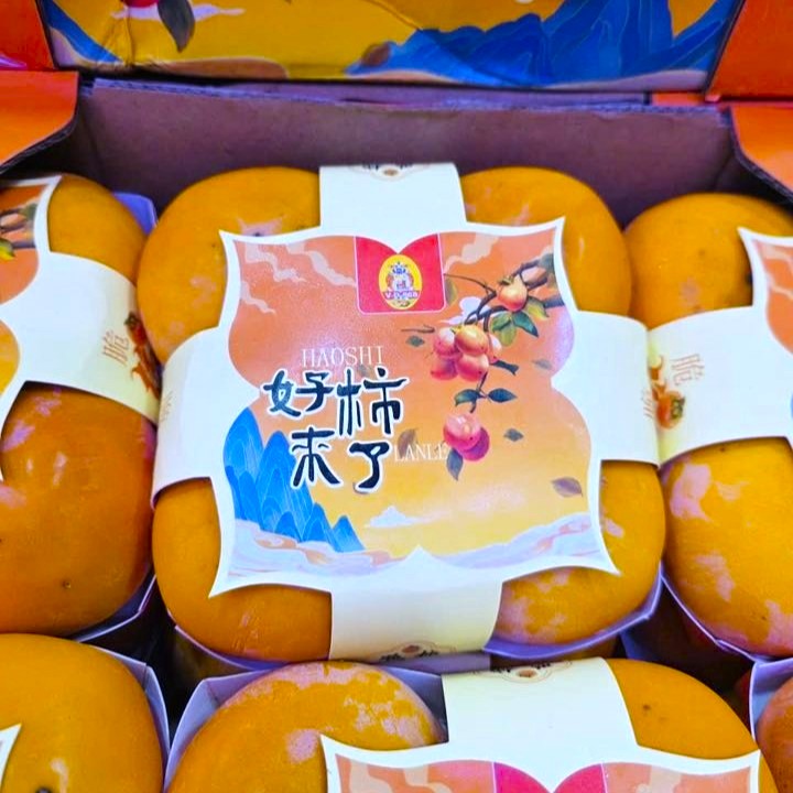 Hồng Giòn Socola_thumbnail_2