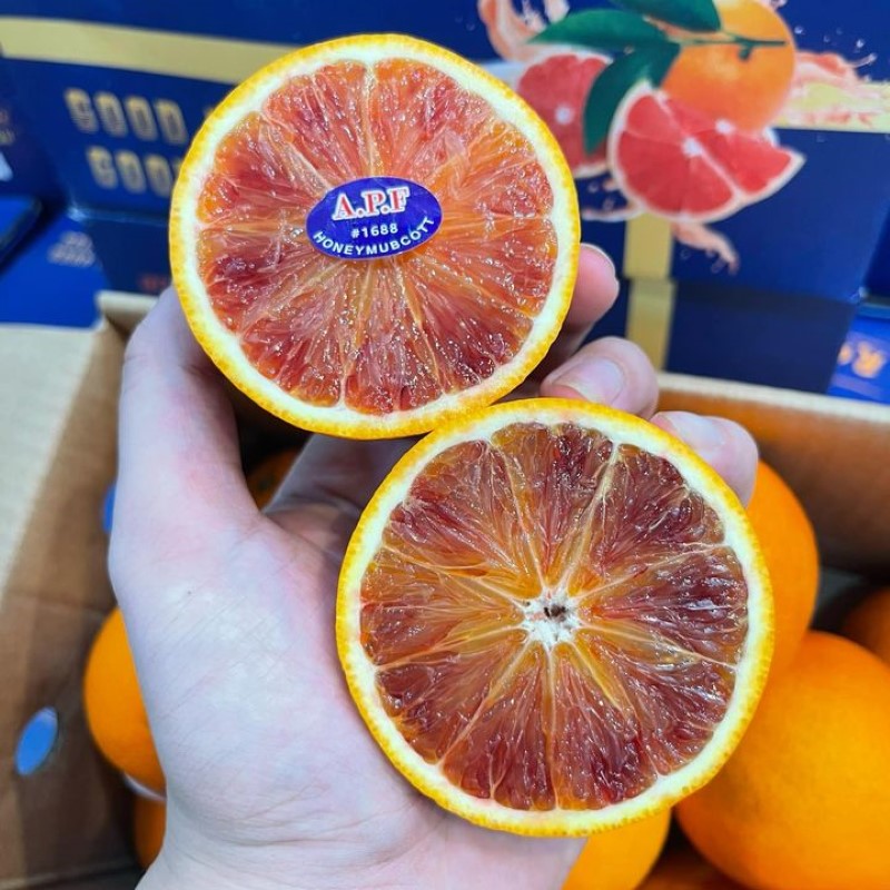 Cam Mật Socola_thumbnail_1
