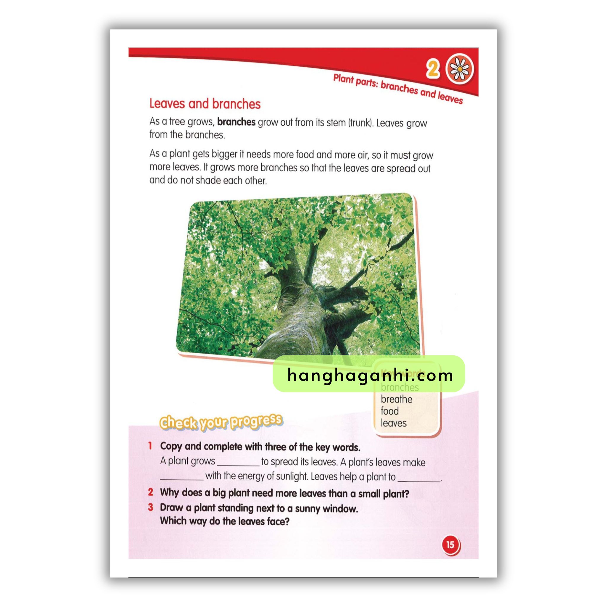 Macmillan Science 3 Pupil’s book_thumbnail_19