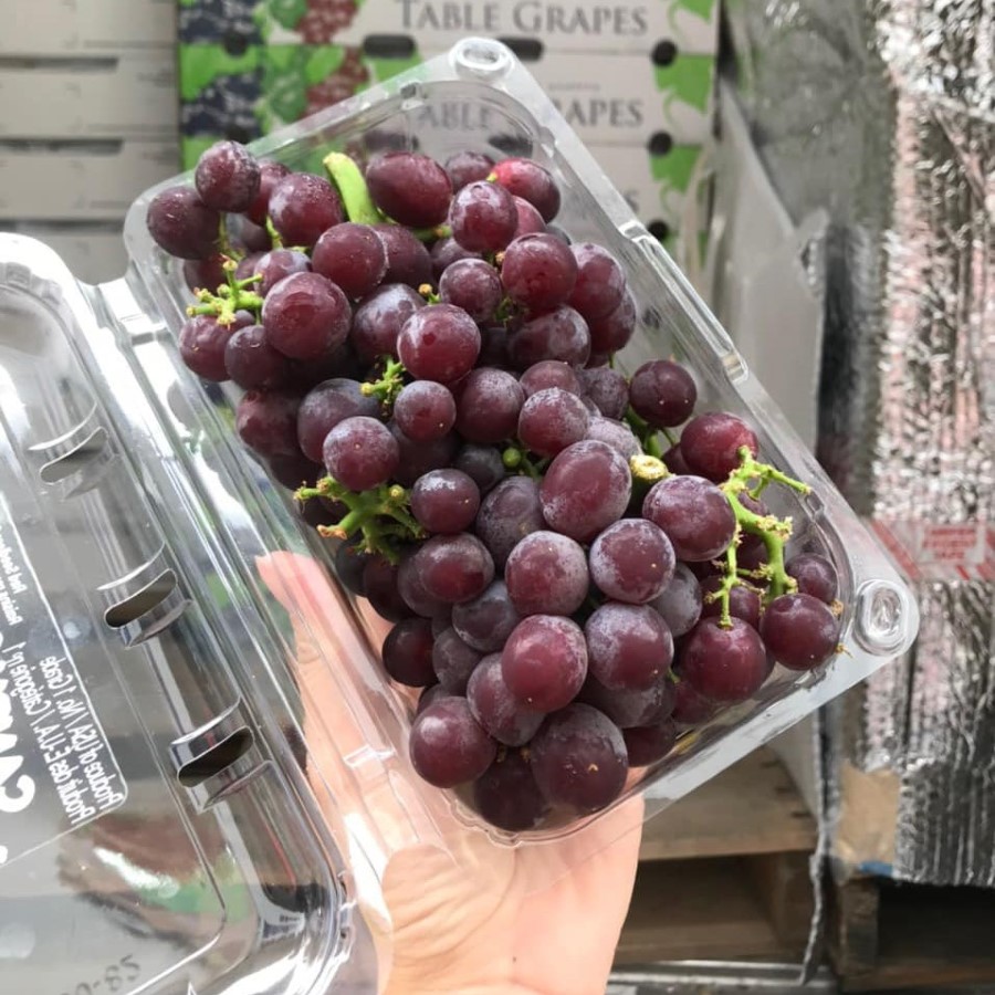 Nho Kẹo Mỹ (Anthony)_thumbnail_4