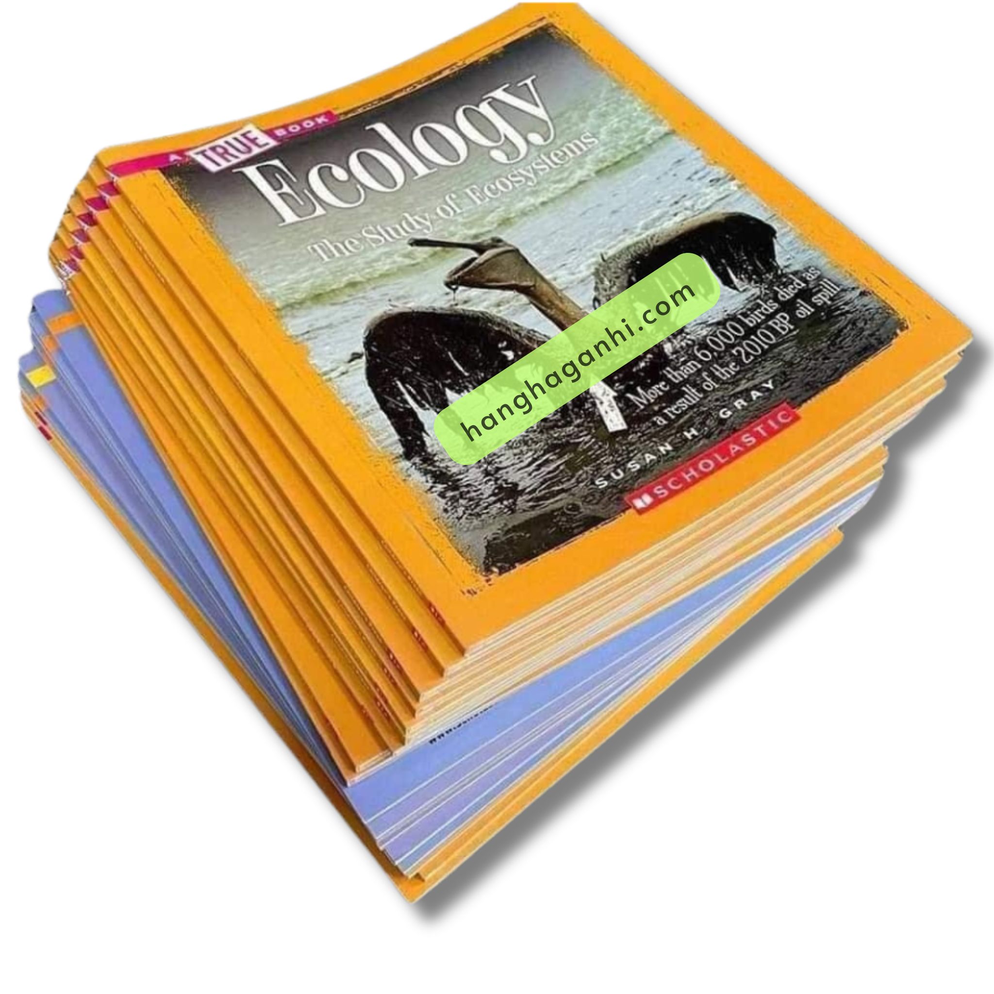 Bộ 18 cuốn True Book Sách nhập khẩu_thumbnail_7