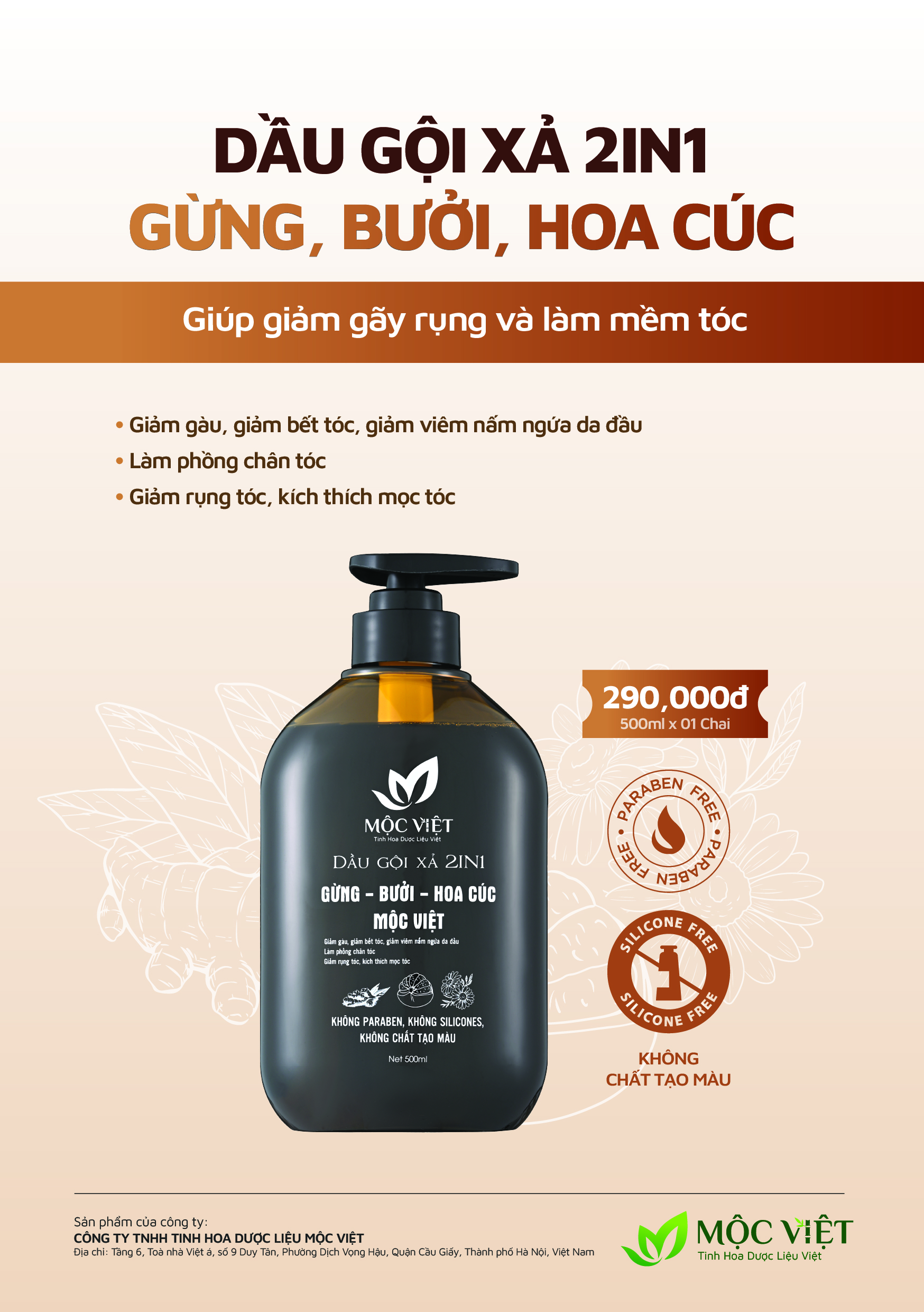 Dậu Gội Xả 2In1 Gừng Bưới Hoa Cúc Mộc Việt
