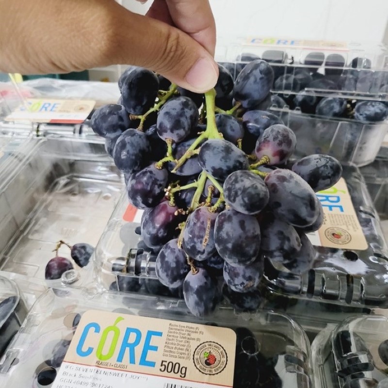 Nho Đen Nam Phi (Core)_thumbnail_1