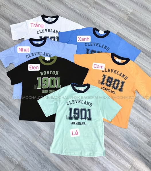SALE A2180 ÁO THUN  6 MÀU_thumbnail_1