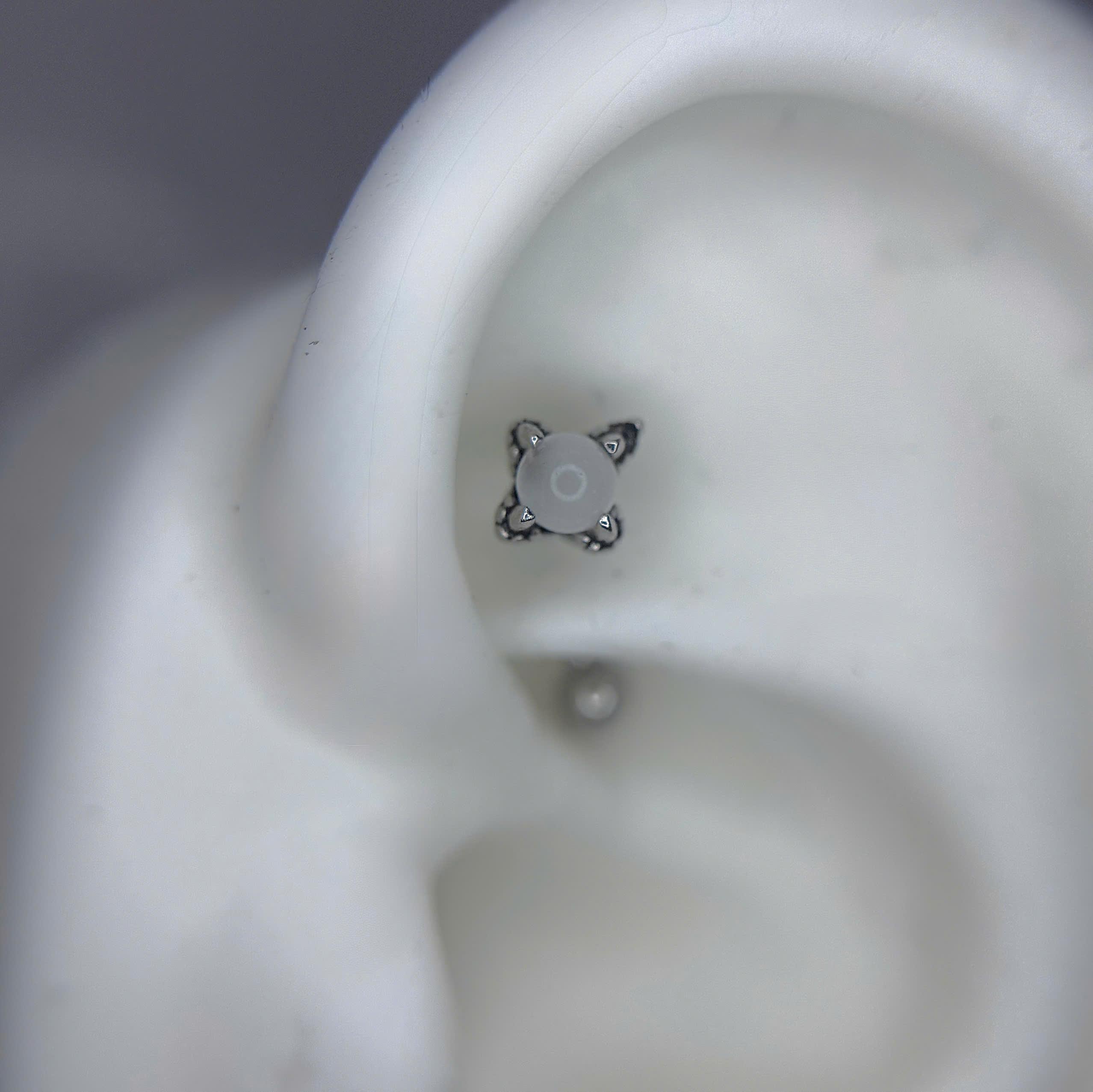 Banana đá ngọc vuốt rồng