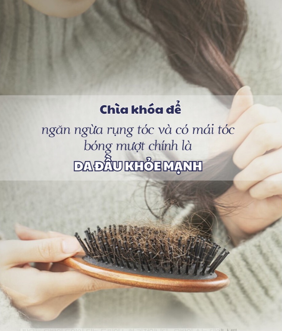 LIENJANG SCALP ANTI-HAIR LOSS VEGAN SHAMPOO - Dầu Gội Giảm Rụng Tóc Nuôi Dưỡng Tóc Mềm Mượt - Cica-Exo, Caffeine - 400ml - [LJ008]_thumbnail_3