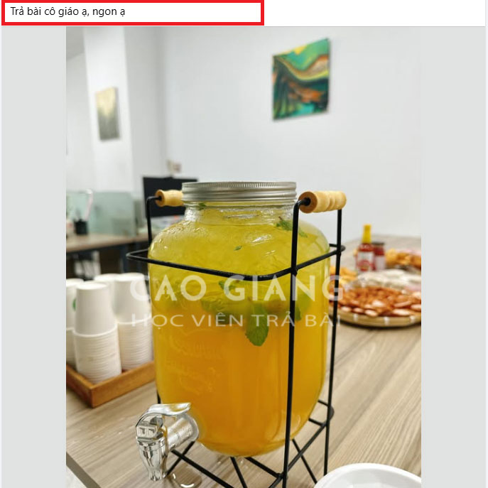 Lớp Nước Dứa Tắc Hoàng Kim_thumbnail_14