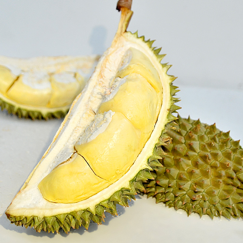 Trái - Sầu Riêng Chuồng Bò cổ - khui sầu_thumbnail_2