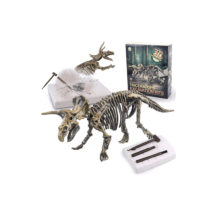 Dino Excavación_thumbnail_6