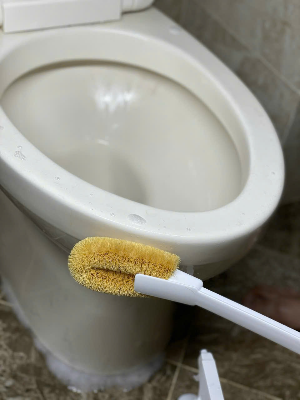 Chổi Cọ Toilet Towa