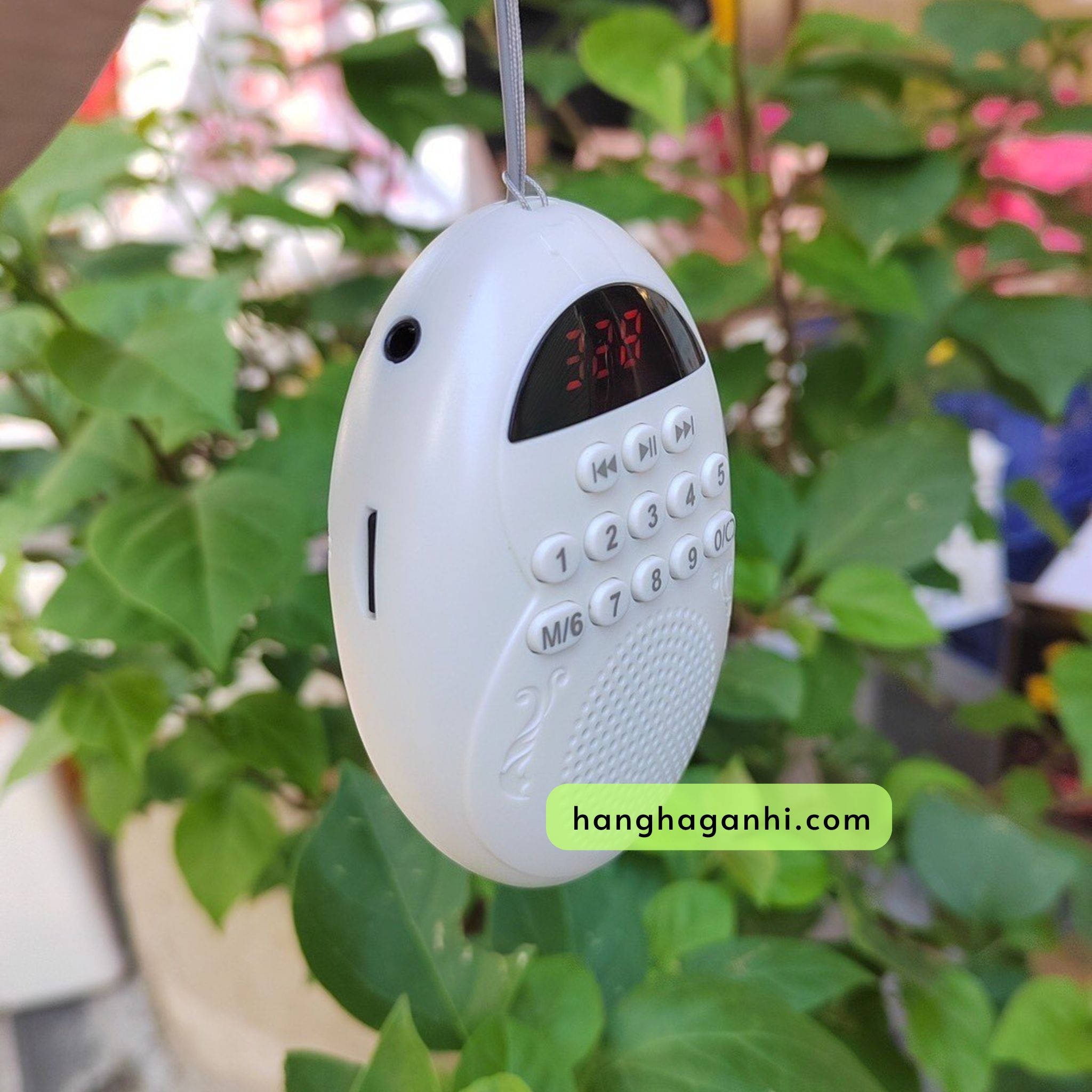 Loa giọt nước_thumbnail_3