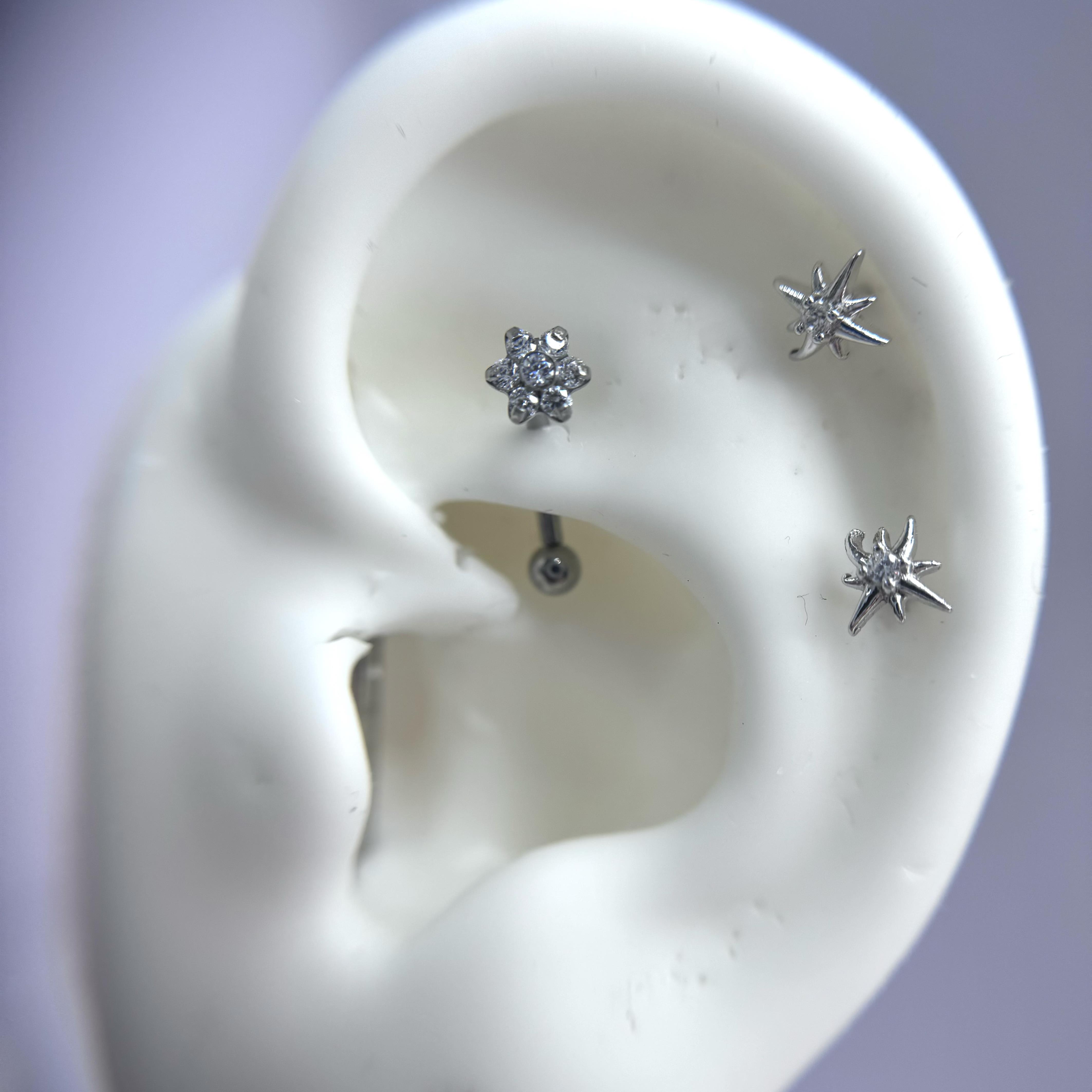 Banana titan hoa kim cương trắng nhỏ _thumbnail_3