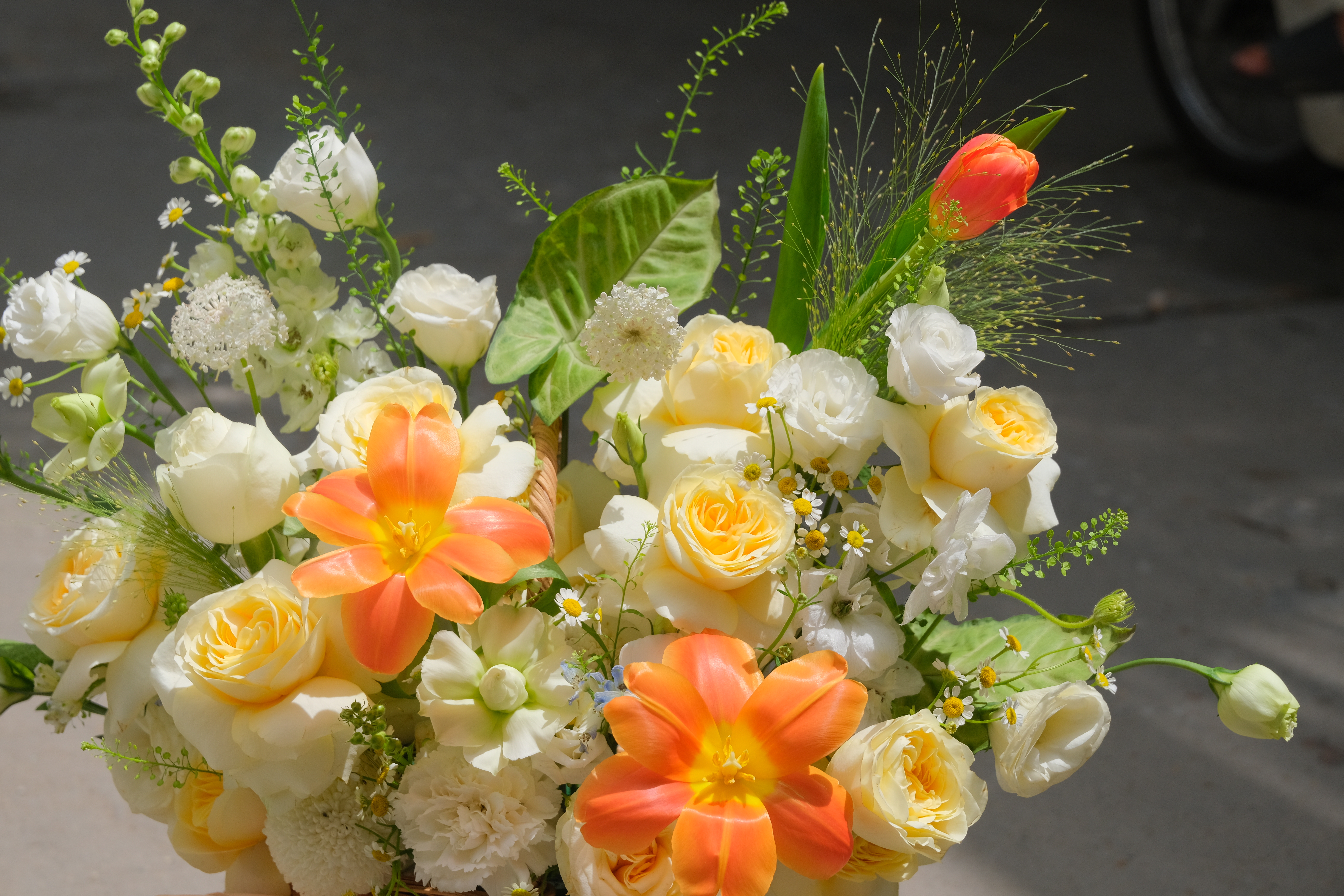 Hồng Butter Cup (Victor) Đà Lạt_2