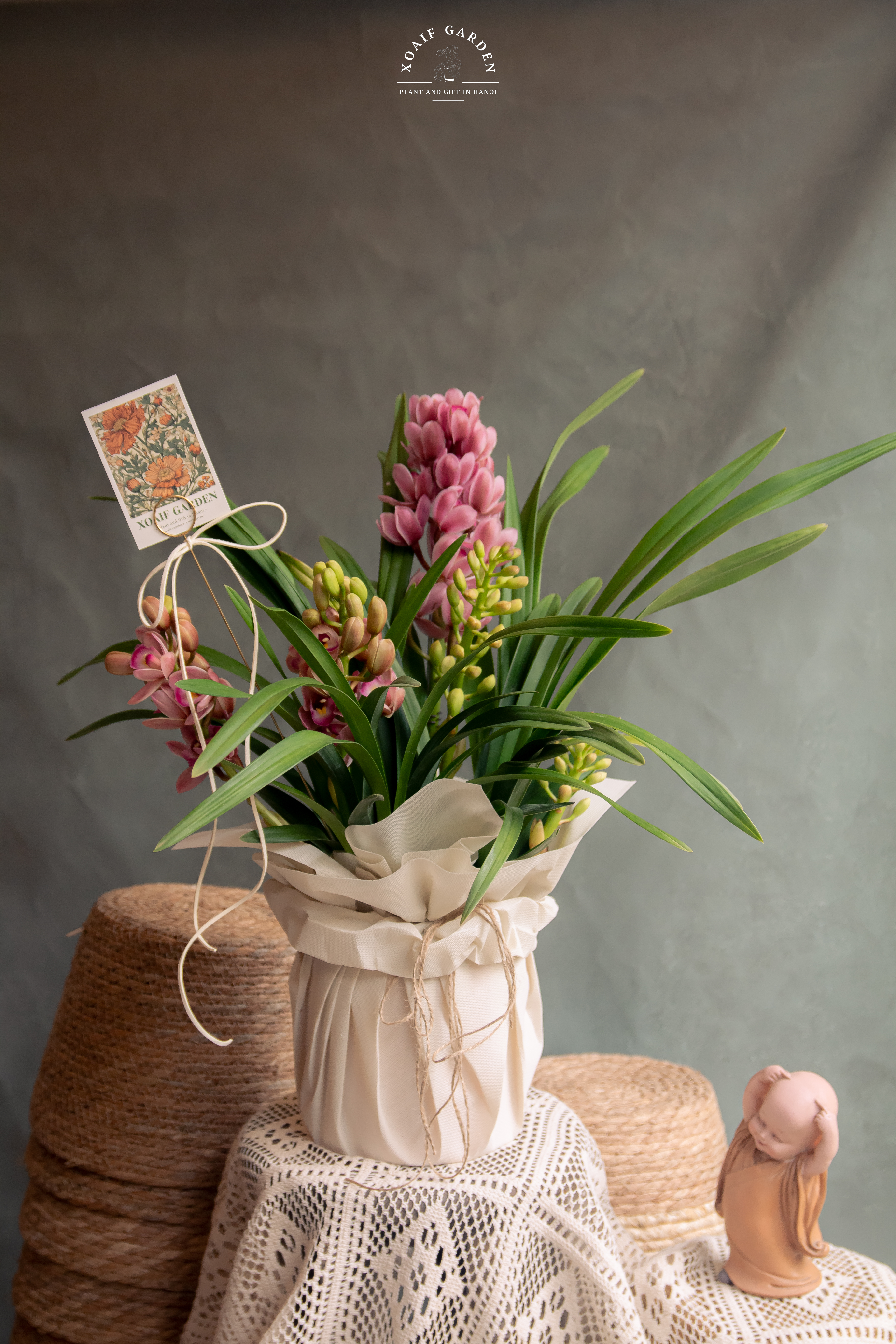 SET ĐỊA LAN CƠ BẢN VỚI GIẤY HOA