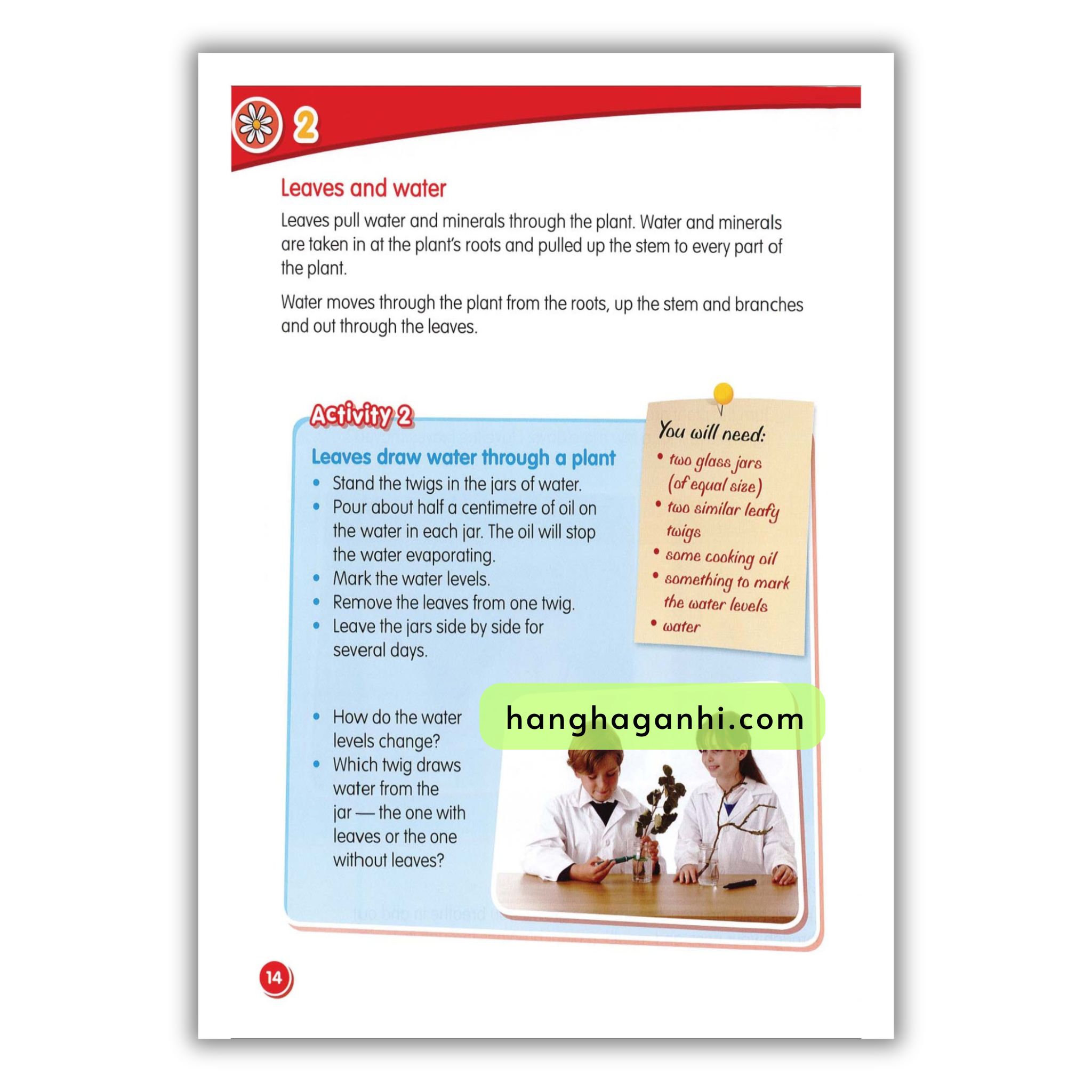 Macmillan Science 3 Pupil’s book_thumbnail_12