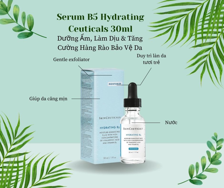 Thành phần Serum B5 Hydrating Ceuticals 30ml – Dưỡng Ẩm, Làm Dịu & Tăng Cường Hàng Rào Bảo Vệ Da