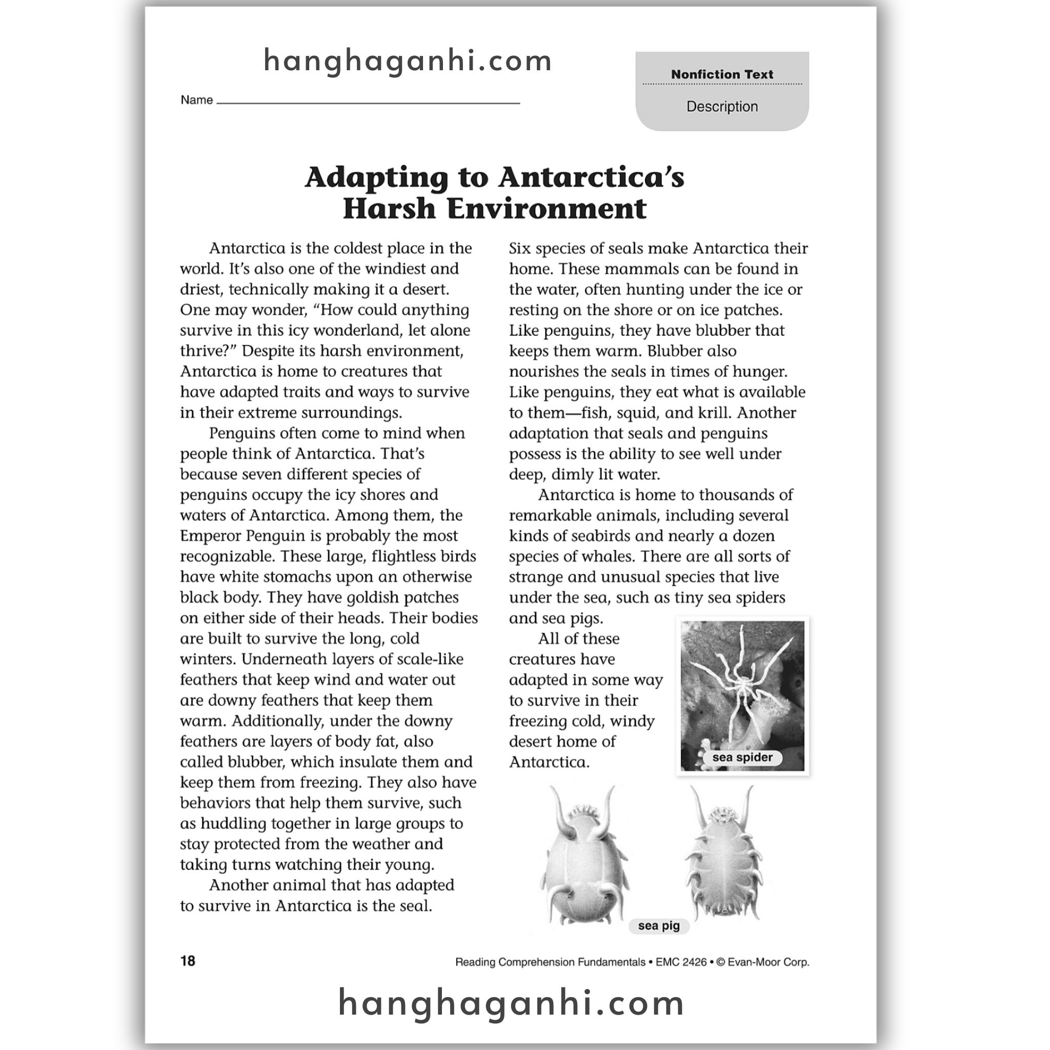 Reading Comprehension Fundamentals grade 6_thumbnail_11