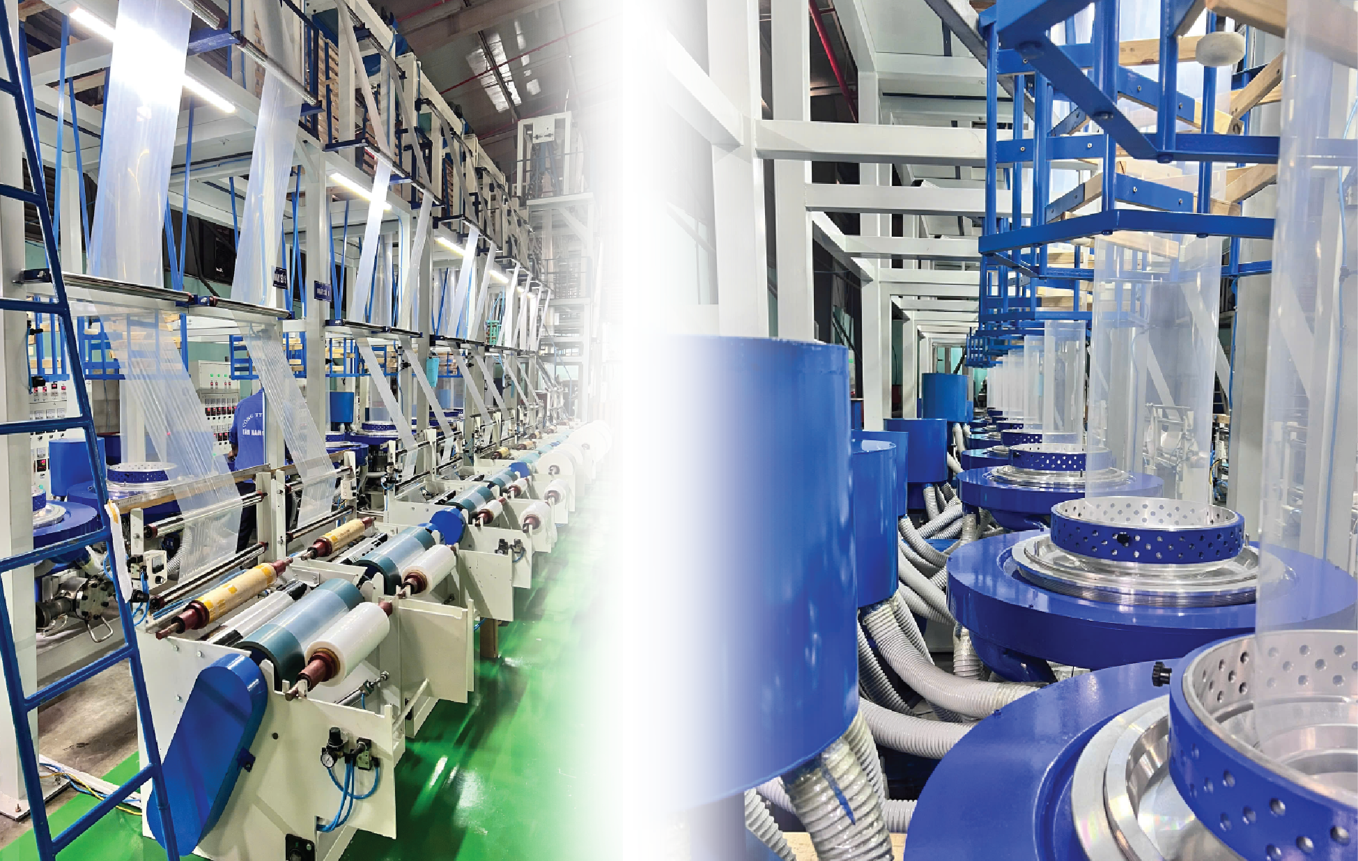 EDIT WEB 7979797979-16