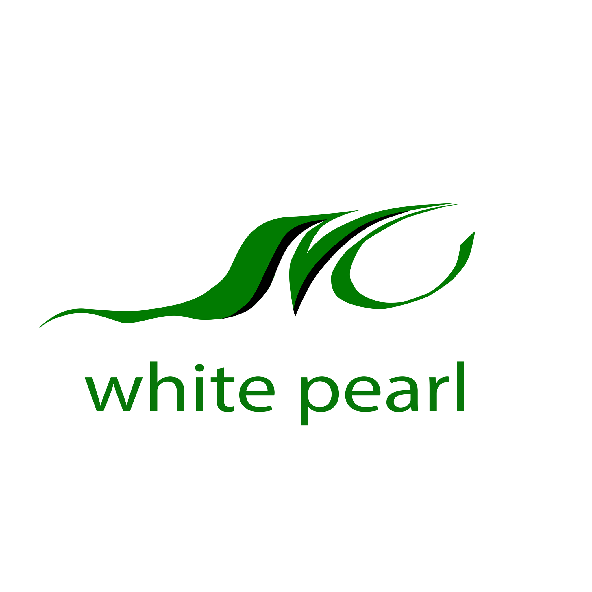 Display image