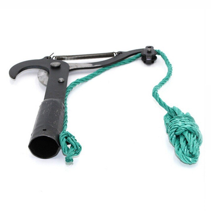 Đầu Kéo Cắt Cành Cây Trên Cao, Tỉa Cây Cảnh, Hái Hoa Quả_thumbnail_1