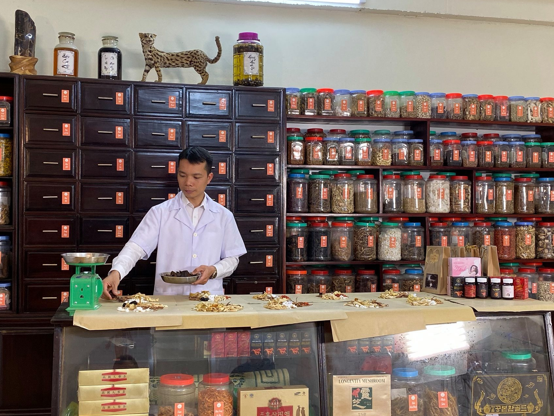 116551886_151244796659542_3342804856777269222_n 1