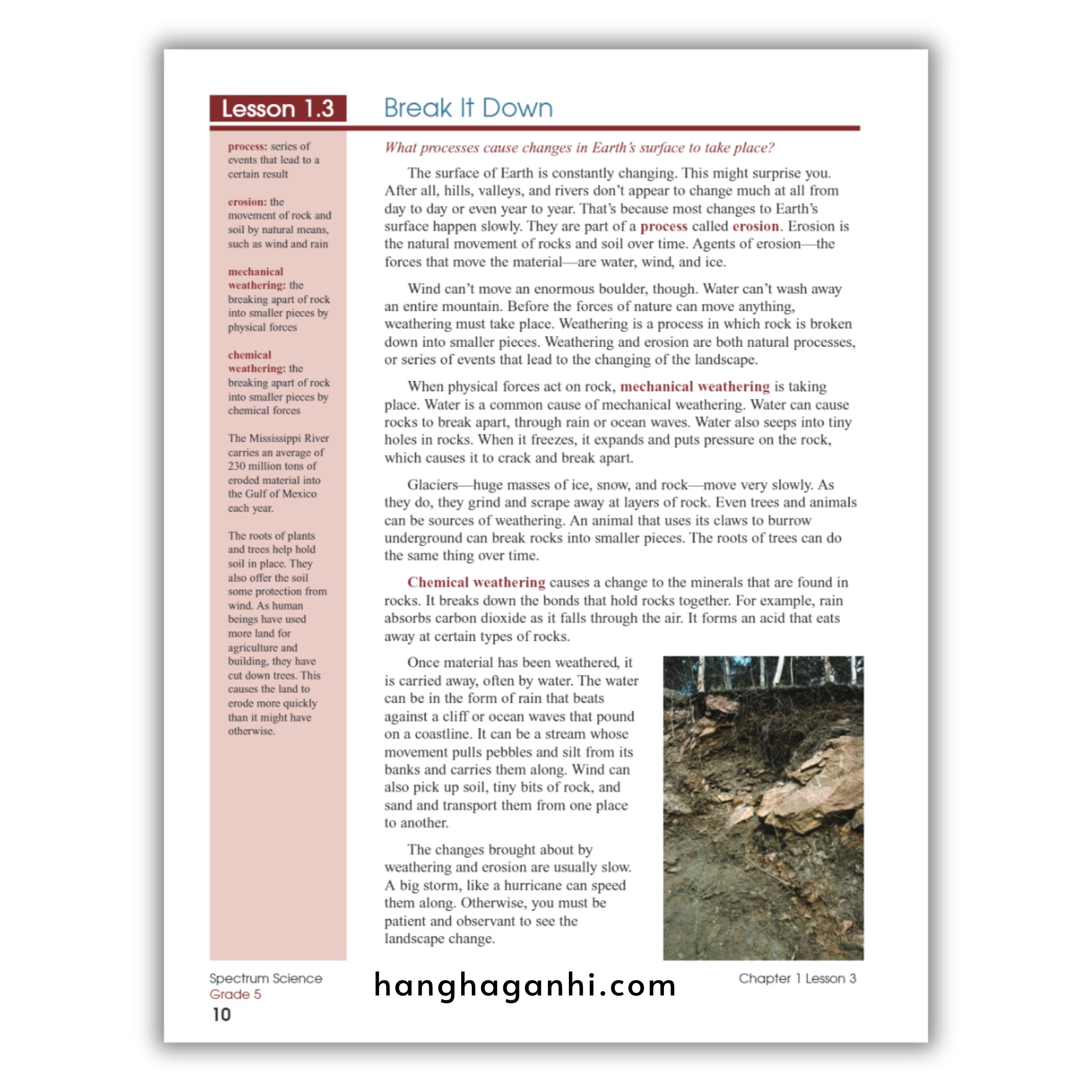 Sách Spectrum Science Workbook Grade 5_thumbnail_10