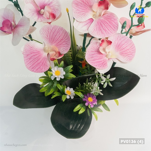 Hoa lan 3 nhánh_thumbnail_1